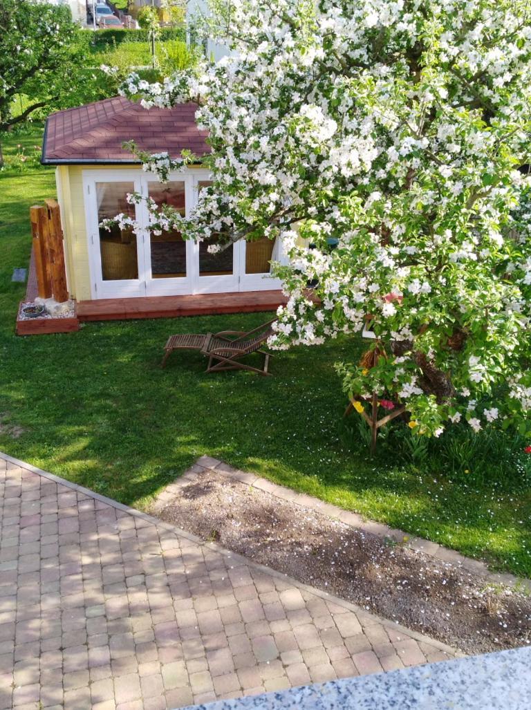 Ferienhaus Kaiser Branchewinda Buitenkant foto