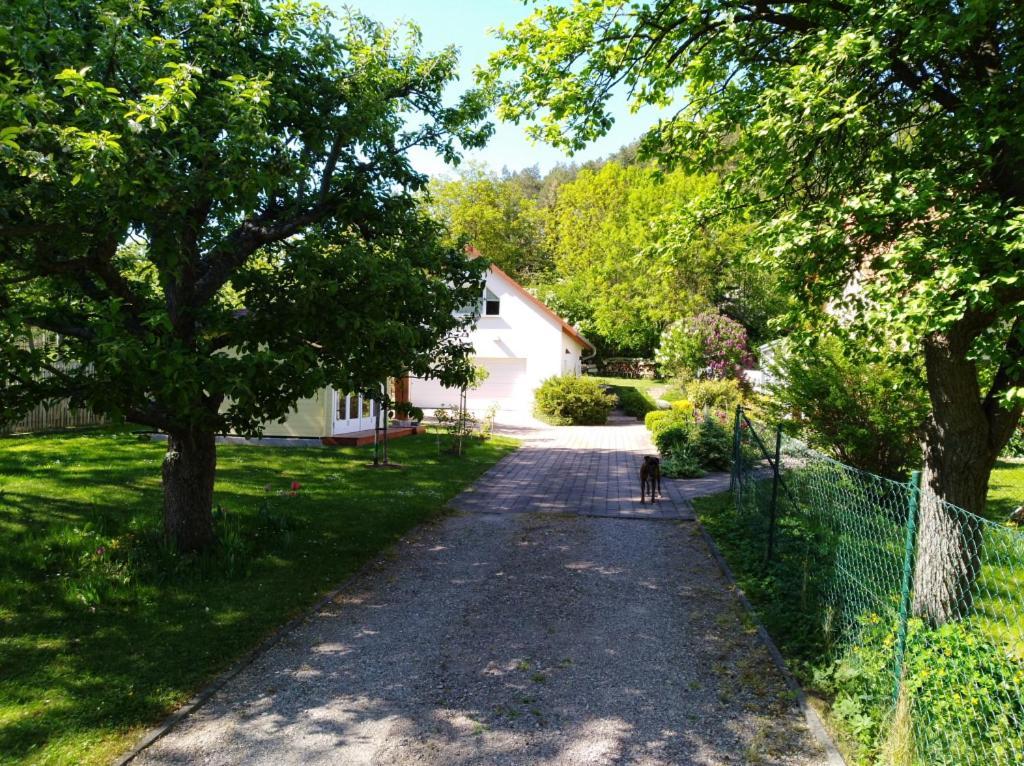Ferienhaus Kaiser Branchewinda Buitenkant foto